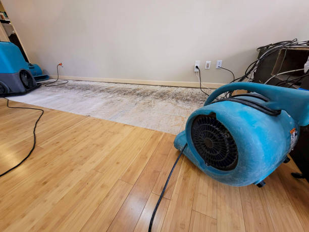 Professional Water Extraction technician working in Rumson, NJ